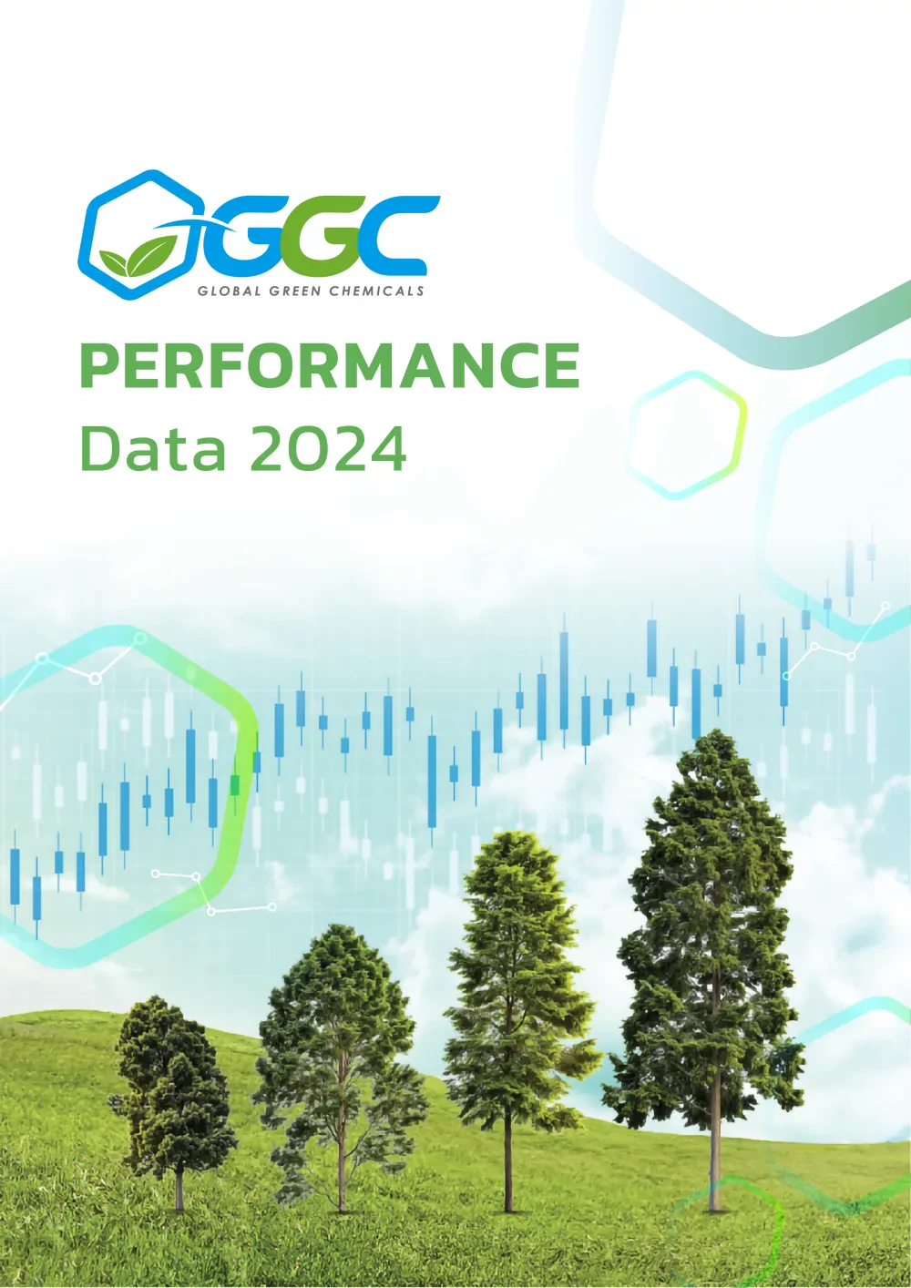 Performance Data 2024