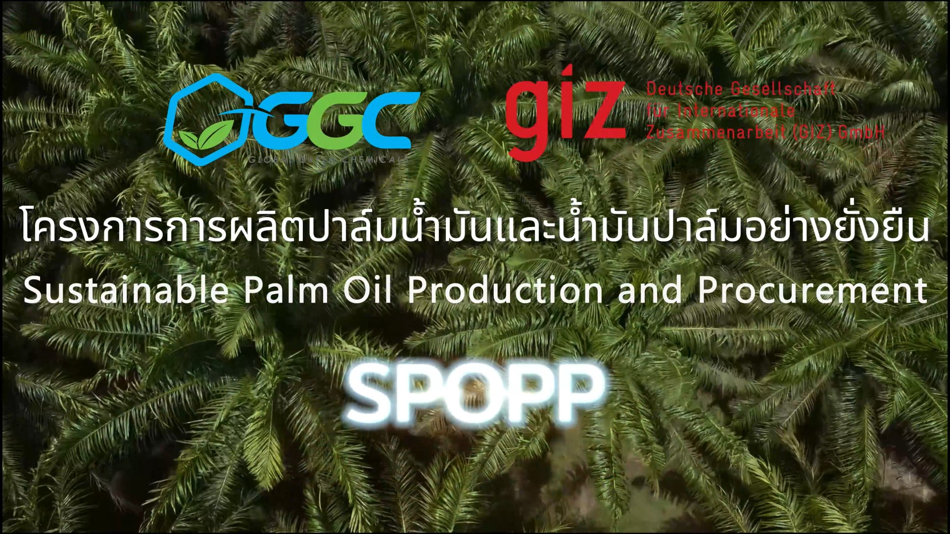 Sustainable Palm Oil Production and Procurement